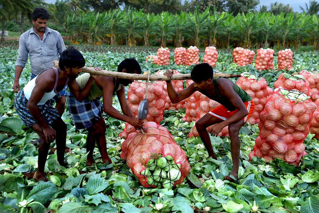 Modernising Agricultural Extension and Human Resource Development