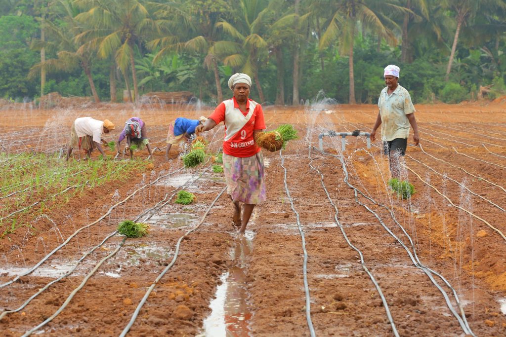 Human Resource Development - Karshika Keralam